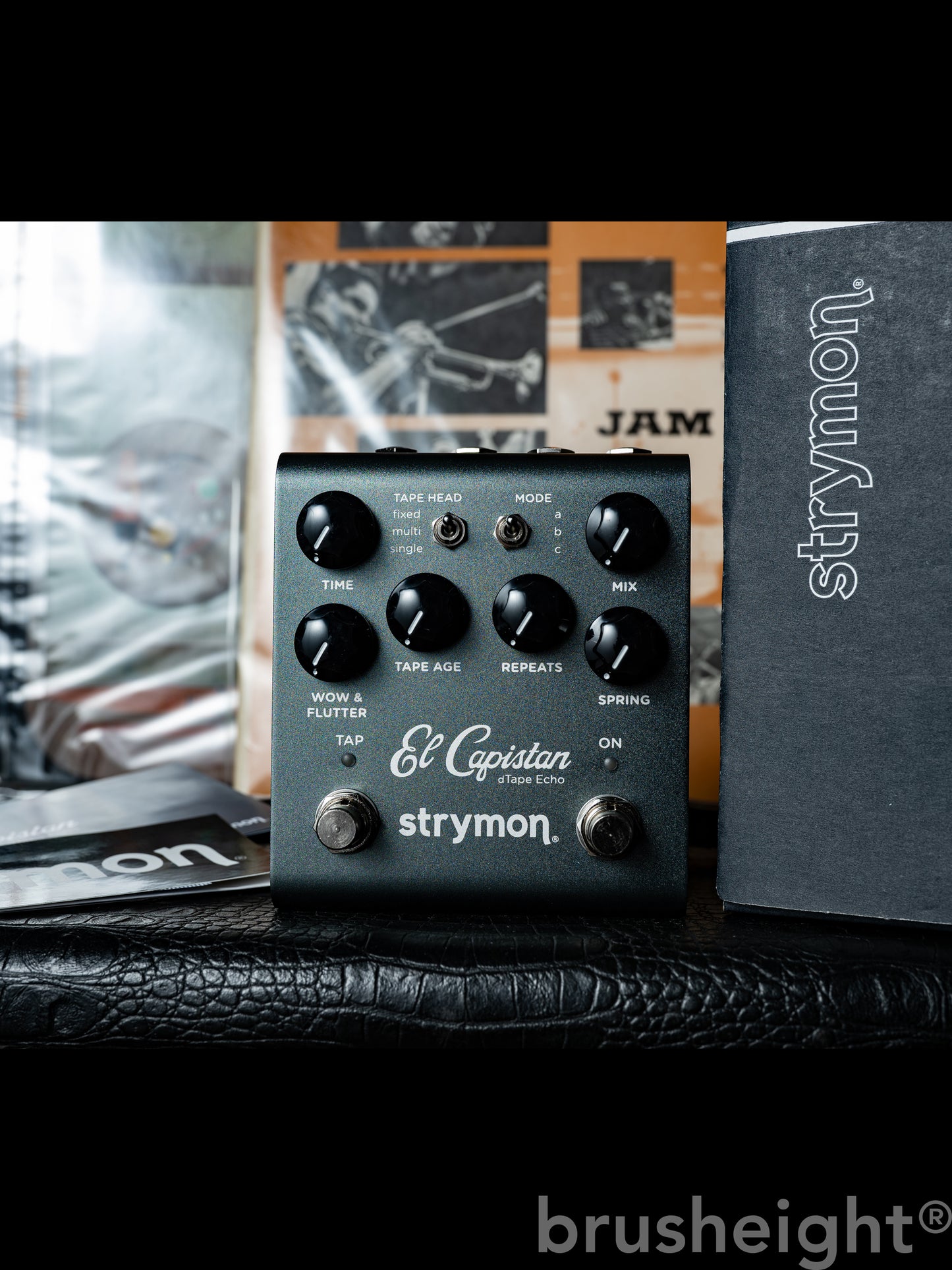 Strymon　El Capistan V2