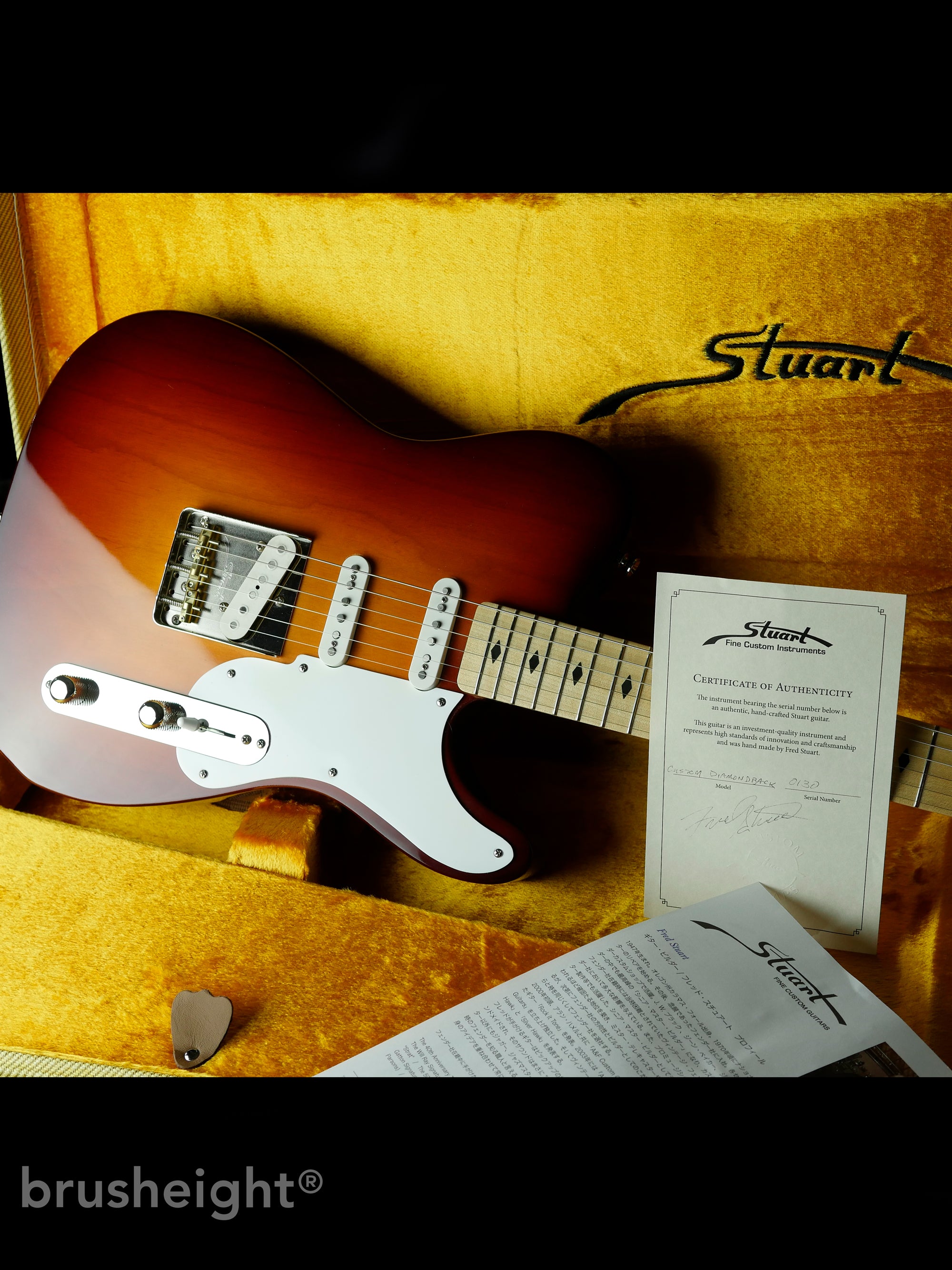 Stuart Custom Model